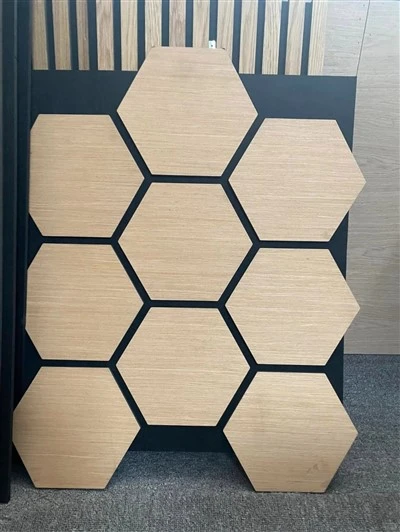 Multifunctional Sound-absorbing Panel